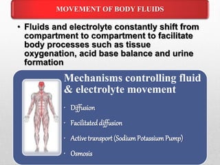 MOVEMENT OF BODY FLUIDS
• Fluids and electrolyte constantly shift from
compartment to compartment to facilitate
body processes such as tissue
oxygenation, acid base balance and urine
formation
Mechanisms controlling fluid
& electrolyte movement
• Diffusion
• Facilitateddiffusion
• Active transport (SodiumPotassiumPump)
• Osmosis
 