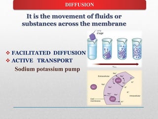 DIFFUSION
 FACILITATED DIFFUSION
 ACTIVE TRANSPORT
Sodium potassium pump
It is the movement of fluids or
substances across the membrane
 