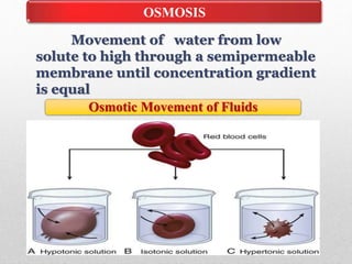 OSMOSIS
Osmotic Movement of Fluids
Movement of water from low
solute to high through a semipermeable
membrane until concentration gradient
is equal
 