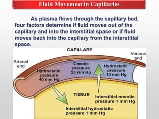 Fluid Movement in Capillaries
As plasma flows through the capillary bed,
four factors determine if fluid moves out of the
capillary and into the interstitial space or if fluid
moves back into the capillary from the interstitial
space.
 