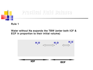 Practical Fluid Balance

Rule 1

Water without Na expands the TBW (enter both ICF &
ECF in proportion to their initial volume)


                    H2O         H2 O         H2 O




              ICF                      ECF
 