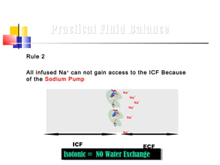 Practical Fluid Balance

Rule 2

All infused Na + can not gain access to the ICF Because
of the Sodium Pump

                                 Na +
                                        Na +
                                               Na +
                                        Na +


                                   Na +



                                 Na +



               ICF                                    ECF
            Isotonic = NO Water Exchange
             Isotonic = NO Water Exchange
 