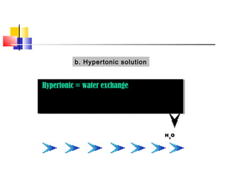 b. Hypertonic solution


Hypertonic = water exchange
Hypertonic = water exchange




                                  H 2O
 