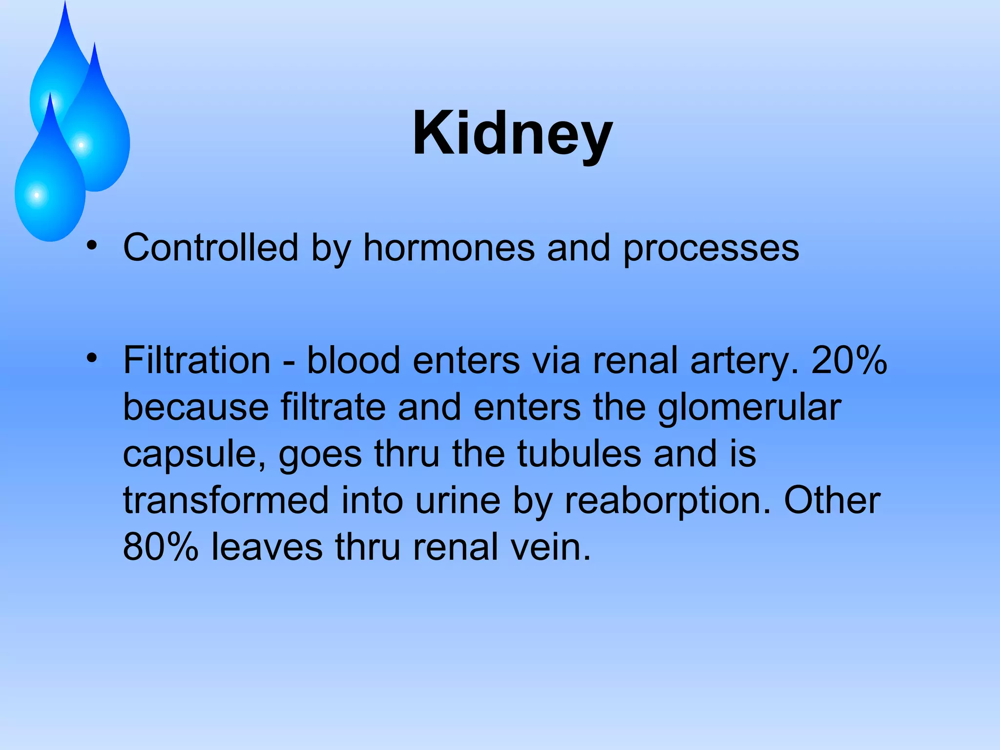 Kidney Controlled by hormones and processes Filtration - blood enters via renal artery. 20% because filtrate and enters the glomerular capsule, goes thru the tubules and is transformed into urine by reaborption. Other 80% leaves thru renal vein. 