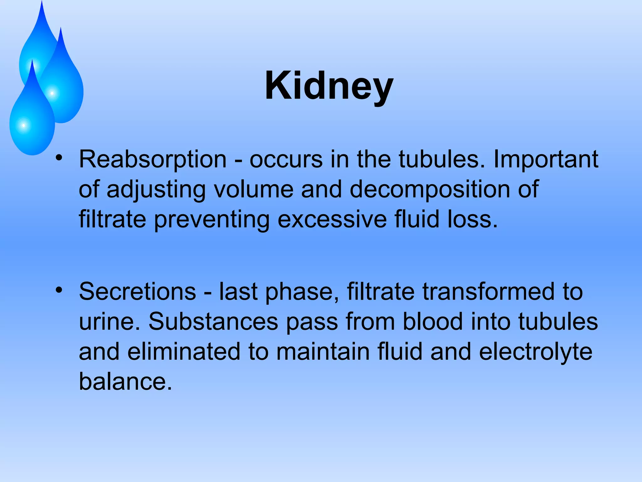 Kidney Reabsorption - occurs in the tubules. Important of adjusting volume and decomposition of filtrate preventing excessive fluid loss. Secretions - last phase, filtrate transformed to urine. Substances pass from blood into tubules and eliminated to maintain fluid and electrolyte balance. 