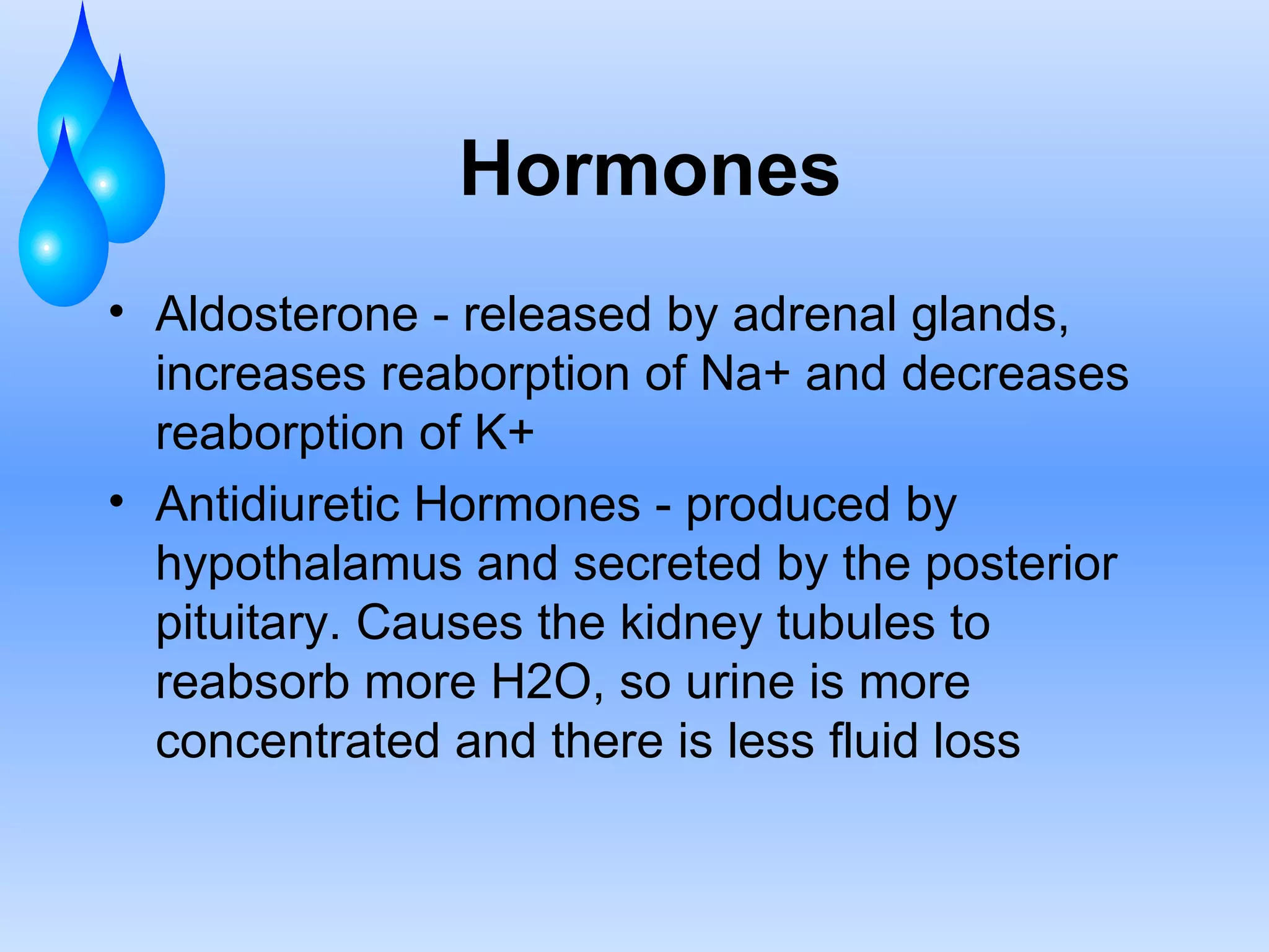 Hormones Aldosterone - released by adrenal glands, increases reaborption of Na+ and decreases reaborption of K+ Antidiuretic Hormones - produced by hypothalamus and secreted by the posterior pituitary. Causes the kidney tubules to reabsorb more H2O, so urine is more concentrated and there is less fluid loss 