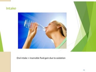 Oral intake + insensible fluid gain due to oxidation
23
 