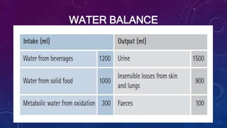 WATER BALANCE
• Water balance occurs when water intake equals water output.
• A normal adult consumes about 2,500 ml of water daily, At the
same time, this adult is releasing about 2,500 ml of water daily.
 