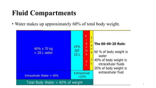 Fluid Compartments
• Water makes up approximately 60% of total body weight.
3
 