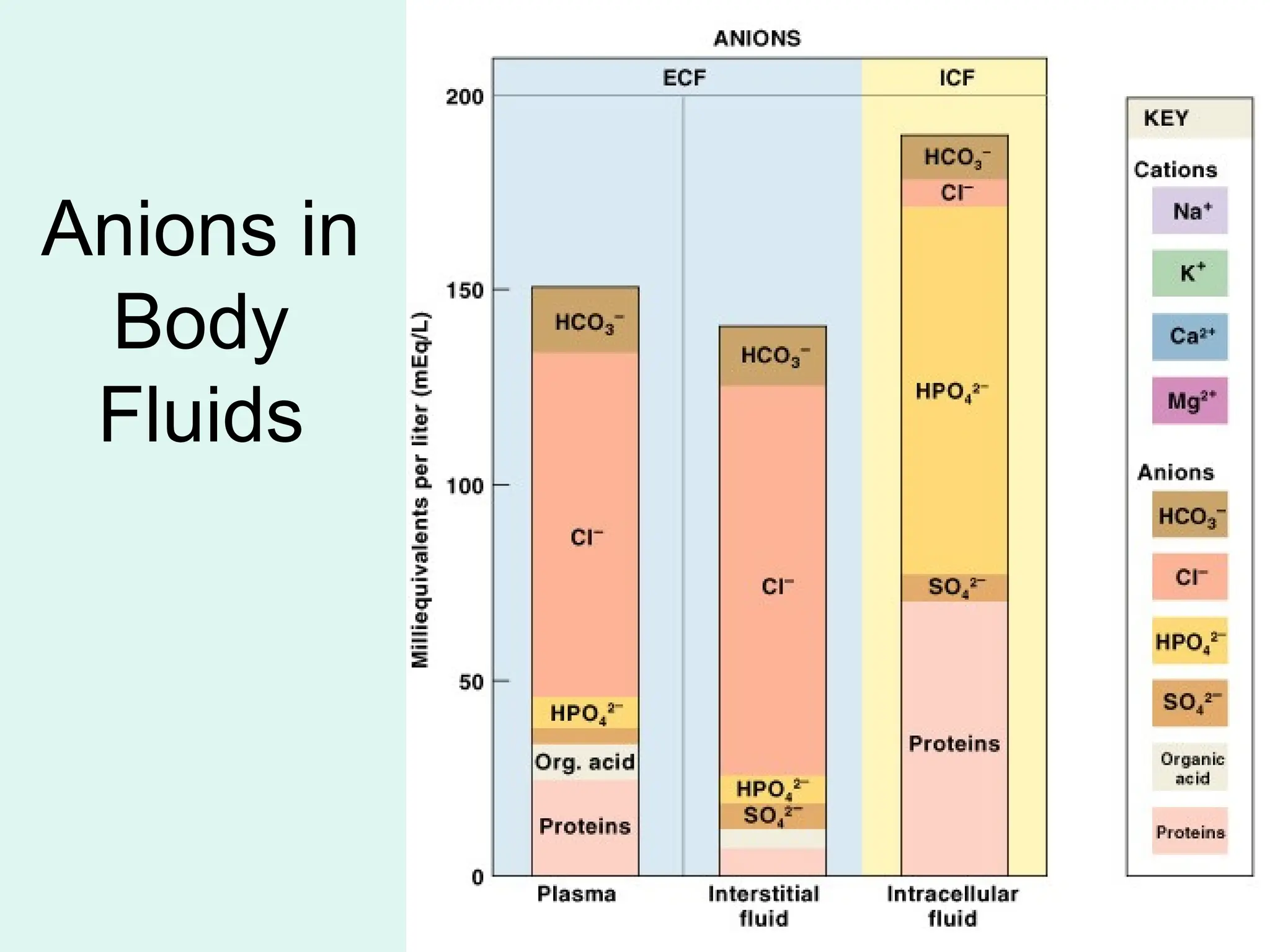 Anions in
Body
Fluids
Figure 27–2 (2 of 2)
 