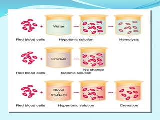 Fluid and electrolytes | PPTX