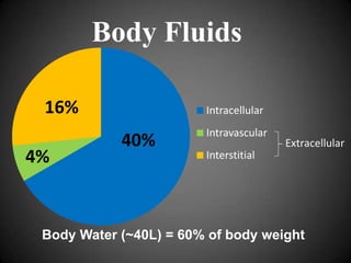 Body Fluids16%40%4%Body Water (~40L) = 60% of body weight