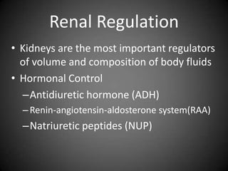 Renal RegulationKidneys are the most important regulators of volume and composition of body fluidsHormonal ControlAntidiuretic hormone (ADH)Renin-angiotensin-aldosterone system(RAA)Natriuretic peptides (NUP)