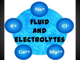 Fluid and electrolytes 