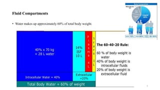 Fluid Compartments
• Water makes up approximately 60% of total body weight.
3
 