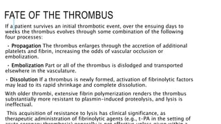 FATE OF THE THROMBUS
If a patient survives an initial thrombotic event, over the ensuing days to
weeks the thrombus evolve...