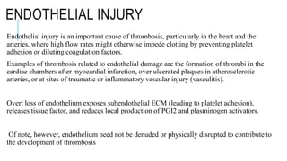 ENDOTHELIAL INJURY
Endothelial injury is an important cause of thrombosis, particularly in the heart and the
arteries, whe...