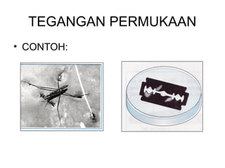TEGANGAN PERMUKAAN
• CONTOH:
 