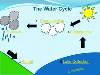 The Water Cycle
Precipitation
Runoff
Condensation
Evaporation
5.Lake Collection
1.
2.
3.
4.
 