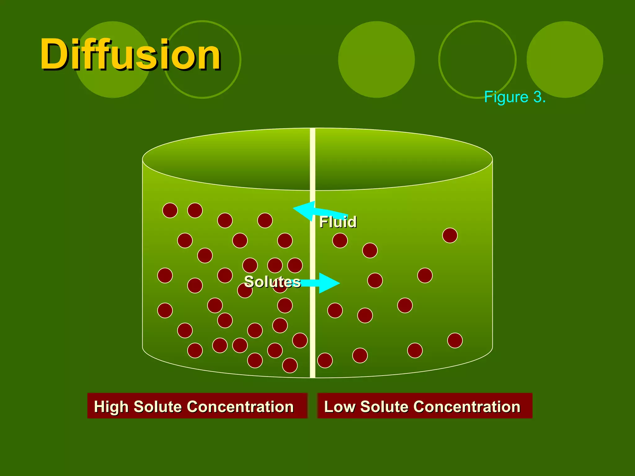 Diffusion High Solute Concentration Low Solute Concentration Fluid Solutes Figure 3. 