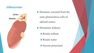 Aldosterone
 Hormone secreted from the
zona glomerulosa cells of
adrenal cortex
 Stimulates kidneys
Retain sodium
Retain water
Secrete potassium
 