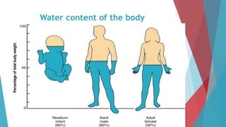 Water content of the body
 