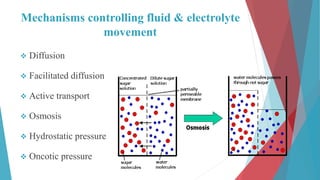 Mechanisms controlling fluid & electrolyte
movement
 Diffusion
 Facilitated diffusion
 Active transport
 Osmosis
 Hydrostatic pressure
 Oncotic pressure
 