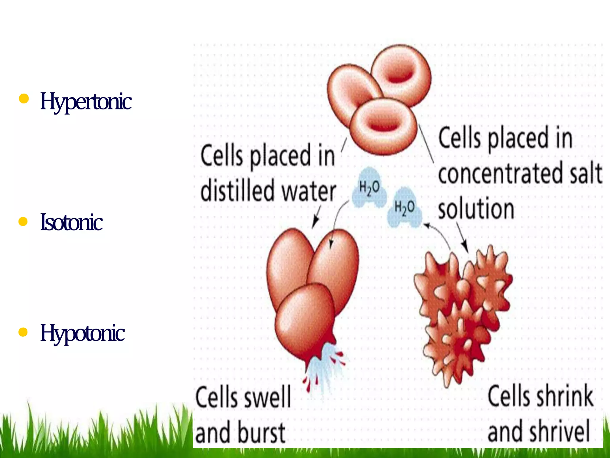 Fluid,electrolyte, acid base balance and homeostasis | PPTX