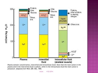 Plasma osmolar concentration, interstitial and intracellular fluid. Note that the main cation in the
plasma and in the interstitial fluid is sodium, while in the intracellular fluid the main cation is
potassium. Adaptad from West JBE (10), 1985.
4/22/2014drjma
 