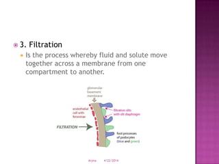  3. Filtration
 Is the process whereby fluid and solute move
together across a membrane from one
compartment to another.
4/22/2014drjma
 