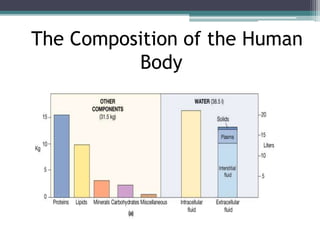 The Composition of the Human
Body
 