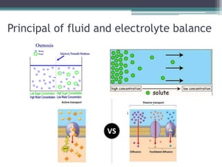 Principal of fluid and electrolyte balance
 