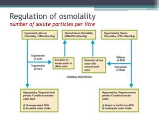 Regulation of osmolality
number of solute particles per litre
 