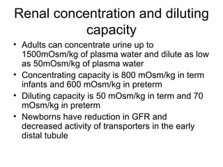 Renal concentration and diluting capacity Adults can concentrate urine up to 1500mOsm/kg of plasma water and dilute as low as 50mOsm/kg of plasma water Concentrating capacity is 800 mOsm/kg in term infants and 600 mOsm/kg in preterm Diluting capacity is 50 mOsm/kg in term and 70 mOsm/kg in preterm Newborns have reduction in GFR and decreased activity of transporters in the early distal tubule 