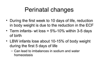 Perinatal changes  During the first week to 10 days of life, reduction in body weight is due to the reduction in the ECF Term infants- wt loss = 5%-10% within 3-5 days of birth LBW infants lose about 10-15% of body weight during the first 5 days of life Can lead to imbalances in sodium and water homeostasis 