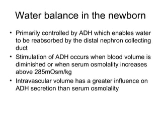 Water balance in the newborn Primarily controlled by ADH which enables water to be reabsorbed by the distal nephron collecting duct Stimulation of ADH occurs when blood volume is diminished or when serum osmolality increases above 285mOsm/kg Intravascular volume has a greater influence on ADH secretion than serum osmolality 