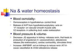 Na & water homeostasis
 Blood osmolality-
 Osmoreceptors in hypothalamus- control thirst
 Release of AVP from hypothalamus/pituitary- acts on
V1 receptor- on vascular smooth muscle cells
V2 receptors- in collecting duct- water reabsorption
 Blood pressure & volume-
 Decrease- JG apparatus in kidney- releases renin, that leads to
production of angiotensin II- vasoconstriction, aldosterone
release (Na reabsorption), cardiac contractility, stimulates thirst
 Increase- ANP/BNP- act on kidneys to reduce renin /AT-II-
cause vasodilation & inhibit aldosterone release
 