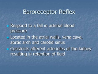 Baroreceptor Reflex
 Respond to a fall in arterial blood
pressure
 Located in the atrial walls, vena cava,
aortic arch and carotid sinus
 Constricts afferent arterioles of the kidney
resulting in retention of fluid
 
