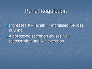 Renal Regulation
 Increased K+ levels  increased K+ loss
in urine
 Aldosterone secretion causes Na+
reabsorption and K+ excretion
 