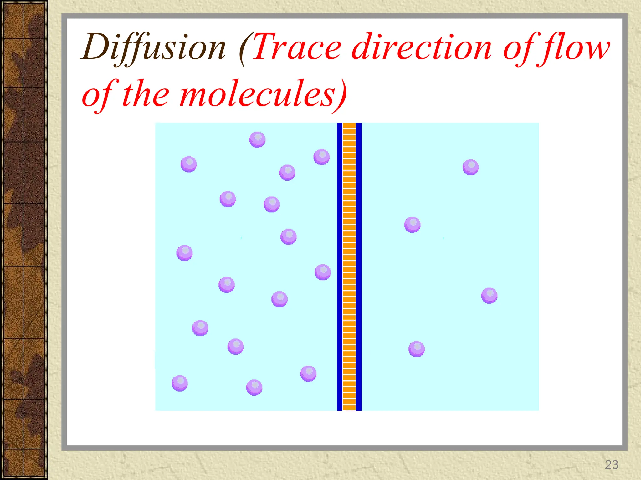 Diffusion (Trace direction of flow
of the molecules)
23
 