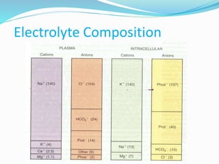 Electrolyte Composition
 