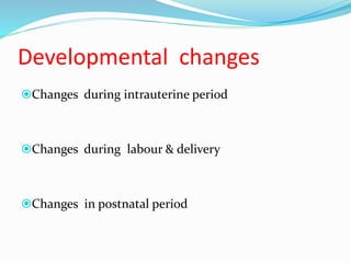 Developmental changes
Changes during intrauterine period
Changes during labour & delivery
Changes in postnatal period
 