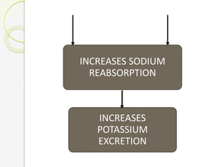INCREASES SODIUM
REABSORPTION
INCREASES
POTASSIUM
EXCRETION
 