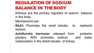 REGULATION OFSODIUM
BALANCE IN THEBODY
• Kidneys are the primary regulator of sodium balance
in the body.
• Mechanisms are:
RAAS: Promotes the renal tubules to reabsorb
sodium.
Antidiuretic hormone: released from posterior
pituitary ADH promotes sodium and water
reabsorption in the distal tubules of kidney.
 