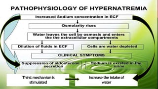 Thirst mechanismis
stimulated
Increase the intakeof
water
 