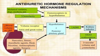 Mechanical ventilation,
drugs, anesthesia, pain
 