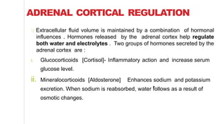 ADRENAL CORTICAL REGULATION
Extracellular fluid volume is maintained by a combination of hormonal
influences . Hormones released by the adrenal cortex help regulate
both water and electrolytes . Two groups of hormones secreted by the
adrenal cortex are :
i. Glucocorticoids [Cortisol]- Inflammatory action and increase serum
glucose level.
ii. Mineralocorticoids [Aldosterone] Enhances sodium and potassium
excretion. When sodium is reabsorbed, water follows as a result of
osmotic changes.
 