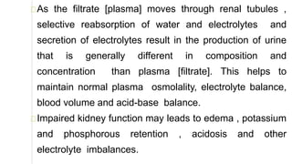 As the filtrate [plasma] moves through renal tubules ,
selective reabsorption of water and electrolytes and
secretion of electrolytes result in the production of urine
that is generally different in composition and
concentration than plasma [filtrate]. This helps to
maintain normal plasma osmolality, electrolyte balance,
blood volume and acid-base balance.
Impaired kidney function may leads to edema , potassium
and phosphorous retention , acidosis and other
electrolyte imbalances.
 