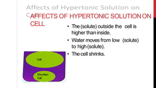 AFFECTS OF HYPERTONIC SOLUTIONON
CELL
Cell
Shrunken
Cell
• The(solute) outside the cell is
higher thaninside.
• Water moves from low (solute)
to high(solute).
• Thecell shrinks.
Cell
Shrunken
Cell
 