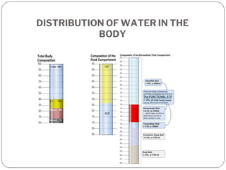 DISTRIBUTION OF WATER IN THE
BODY
 